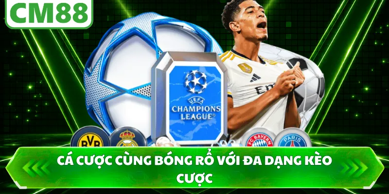 Cá cược cùng bóng rổ với đa dạng kèo cược
