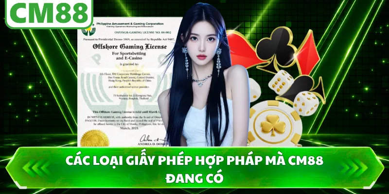 Các loại giấy phép hợp pháp mà CM88 đang có 